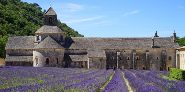 Abbaye De Senanque Gordes