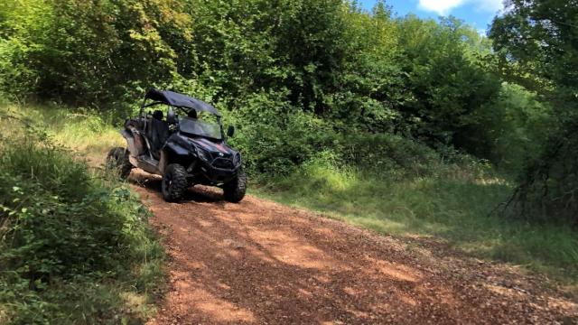 Buggy Perigord Noir