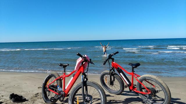 Fat Bike Seaside