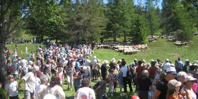 Fete Transhumance Esperou