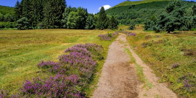 Parc Volcan Auvergne