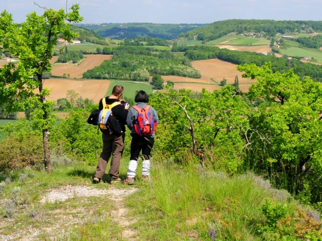 Randonnee Tarn Et Garonne