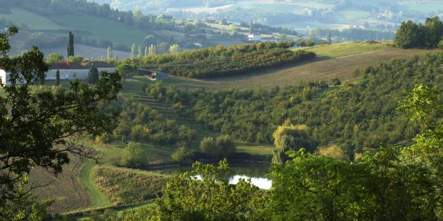 Tarn et Garonne Paysage