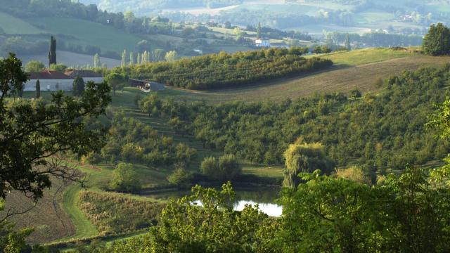 Tarn et Garonne Paysage