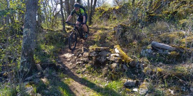 Vtt Descente