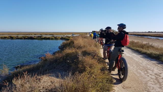 vtt-salines.jpg