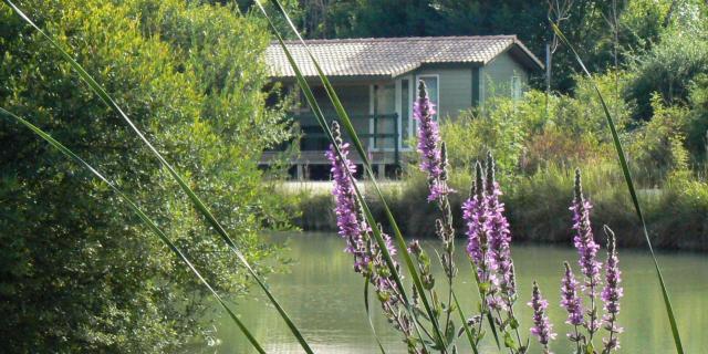 Village De Gites Chalets De La Heronniere