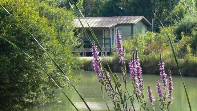 Village De Gites Chalets De La Heronniere