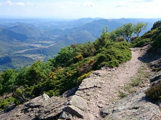 Paysage Hérault