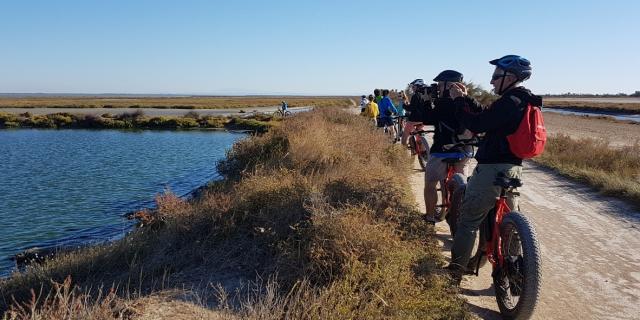 Vtt Salines