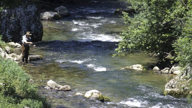 Pêcheur à La Mouche