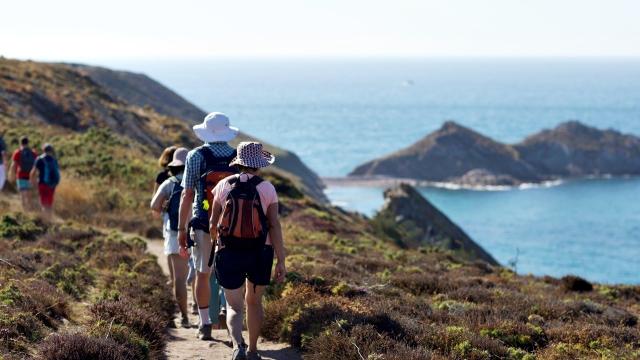 Gites Du Pecheur Sortie Randonnée au Cap d'Erquy