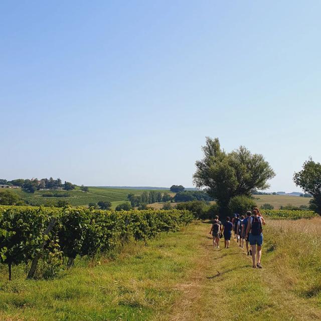 Randonnee Vignobles Darmagnac 