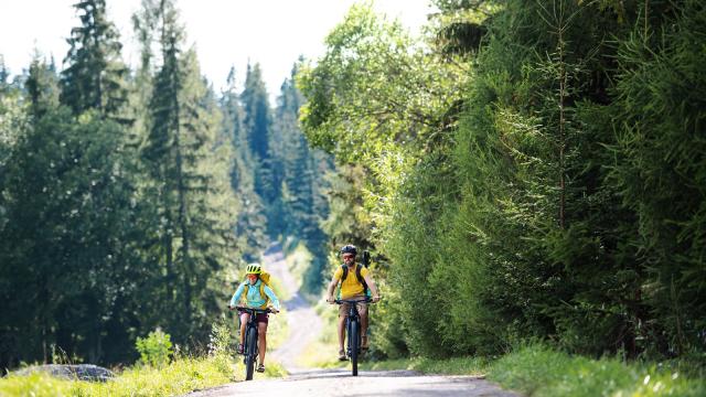 Happy family with small children cycling outdoors in summer nature.