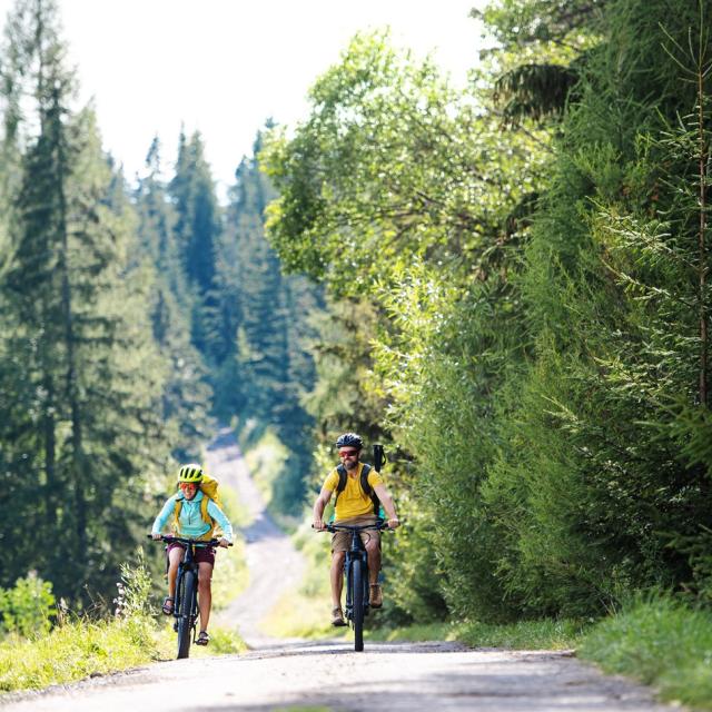 Happy family with small children cycling outdoors in summer nature.