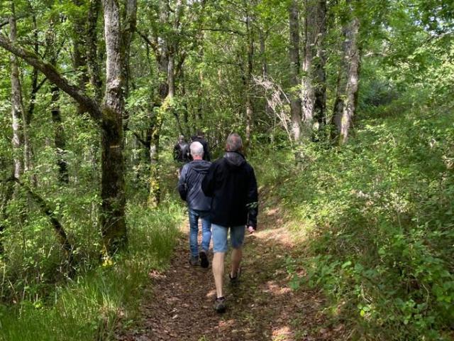 Groupe de randonneurs pédestres sur un chemin de randonnée en forêt à partir du village de gîtes La Truffière