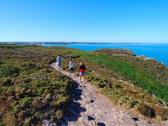 Bretagne FREHEL Balade Bord De Mer