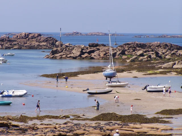 Bretagne grandes marées : pêche à pied à marée basse