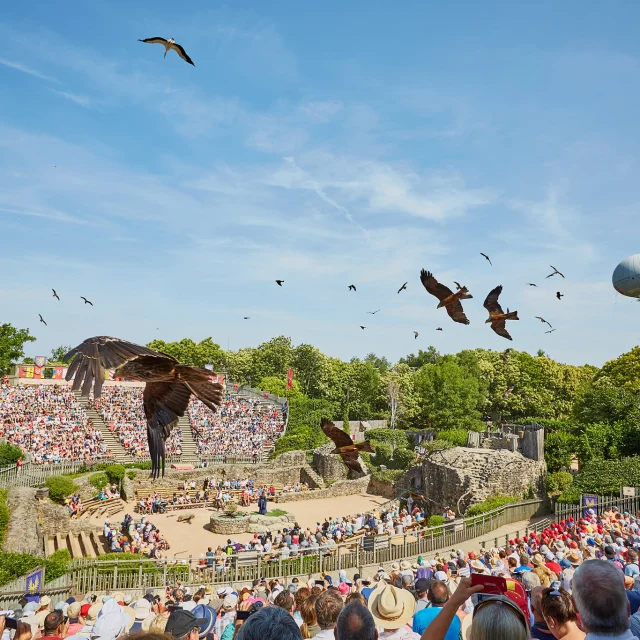 Vendee Le Puy Du Fou Spectacle Faucons