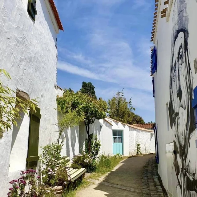 Vendee Village Pecheurs Noirmoutiers Ruelle