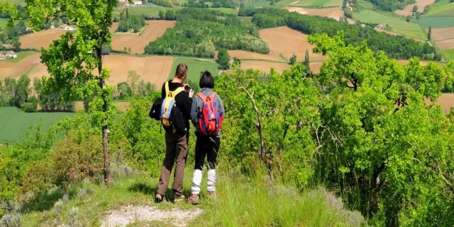 Location Gite Derniere Minute Sud Ouest Tarn Et Garonne