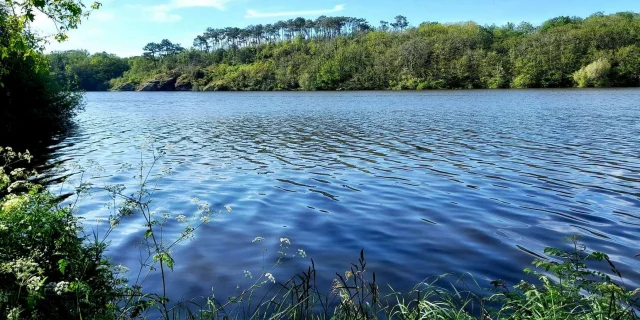 Gite De Peche Etang Prive Vendee