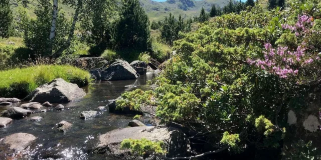 Gite De Peche Hebergement Peche En Riviere Dans Le Sud De La France Herault Rieutor Reduite