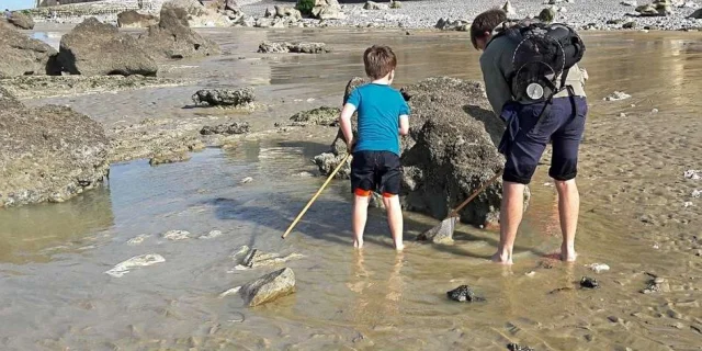 Gite De Peche Peche A Pied En Normandie Grandes Marees