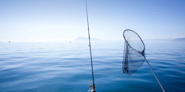 Gite De Peche Peche En Mer Bretagne